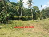 PERU, Trelawny, Jamaica - Commercial/farm land for Sale